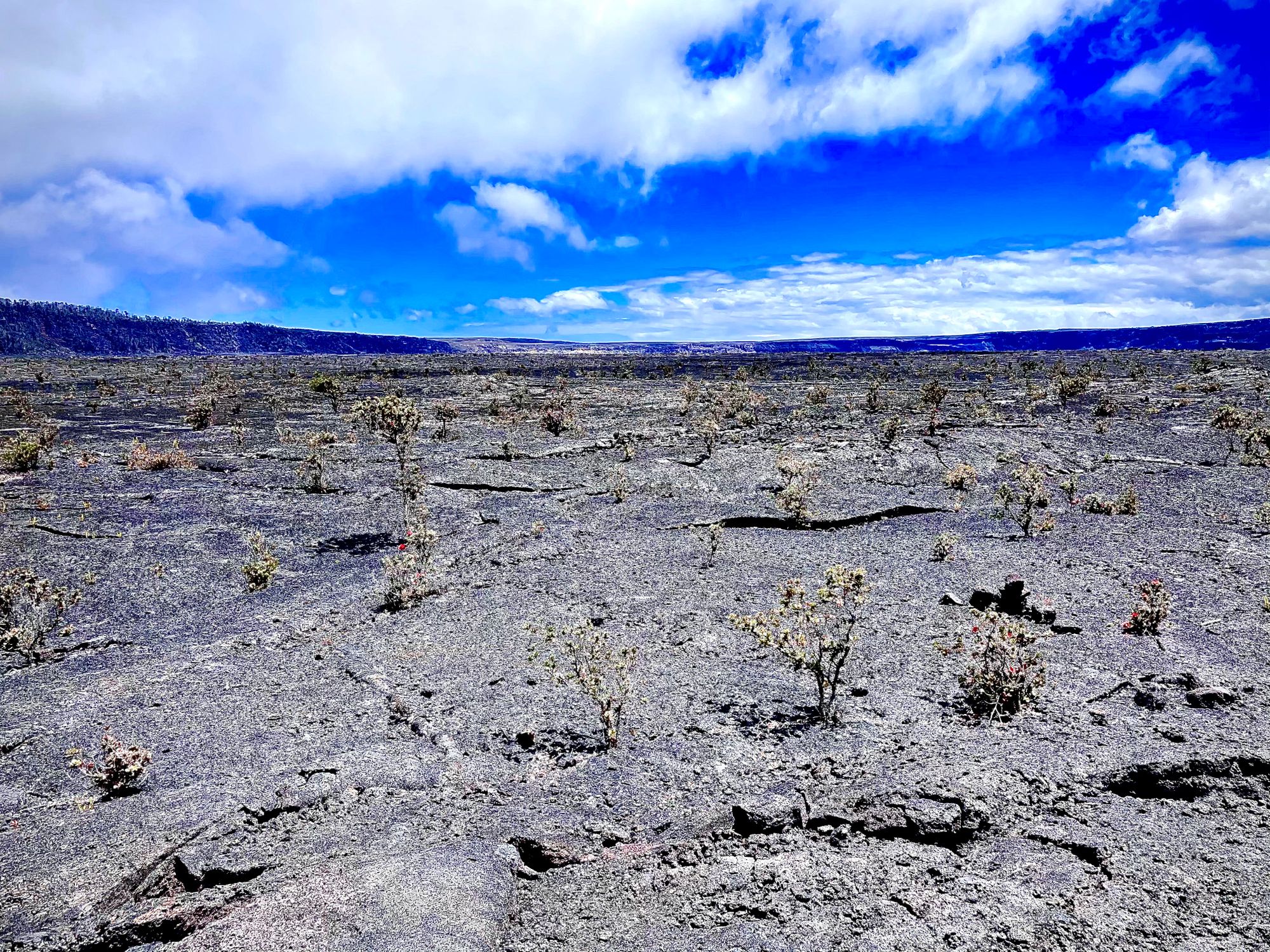 The East Side of the Big Island