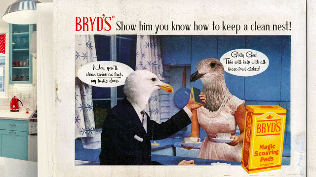 Love Is For The Byrds: A BYU Film Recap No One Asked For