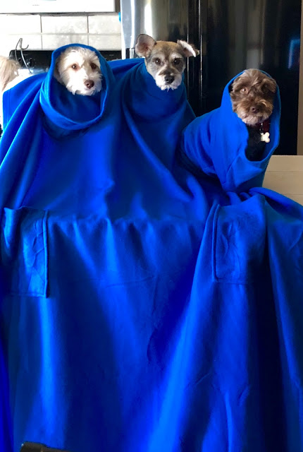 Strangerhood of the Traveling Snuggie Report