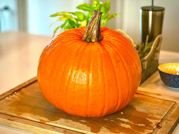 My Pumpkin Stew In A Pumpkin Recipe None Of You Asked For, Which Was Rude.