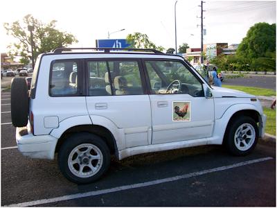 Seat Belts & Rotting Bodies